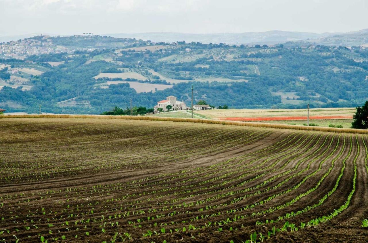 Гостевой дом Country Relais La Torretta Baronale San Giorgio del Sannio Экстерьер фото