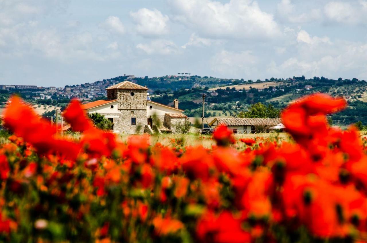 Гостевой дом Country Relais La Torretta Baronale San Giorgio del Sannio Экстерьер фото